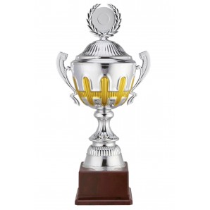 Pokal Matterhorn