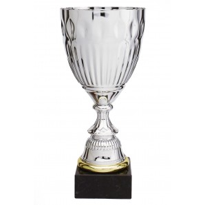 Pokal Dom