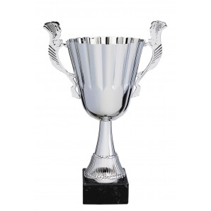 Pokal Liskamm