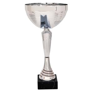 Pokal Niesen