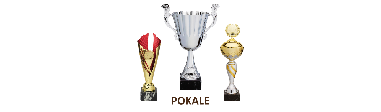 Pokale Gravur – Wir gravieren Ihren Pokal individuell / ONLINE GRAVUR