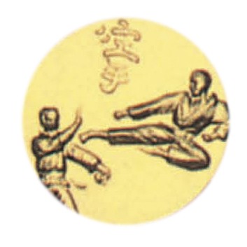 Kampfsport