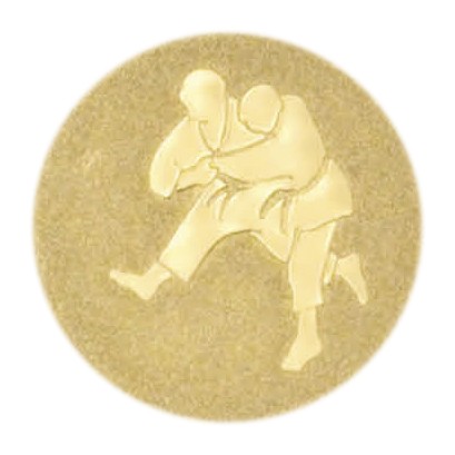 Kampfsport
